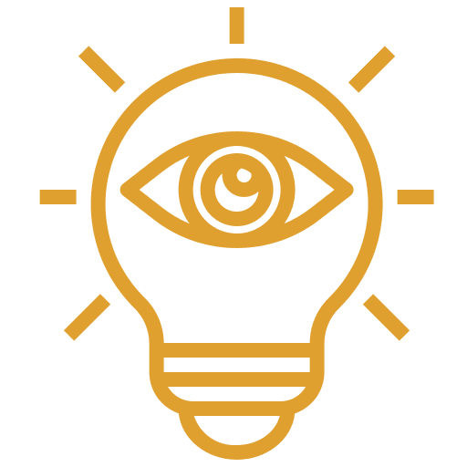 Vision